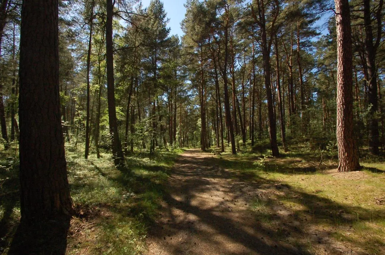 M&K Apartamenty Przytulny - Sobieszewo - Wyspa Sobieszewska location